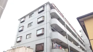 アフィニス原木の画像