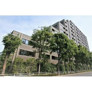 びゅうリエットグラン新宿戸山【9階】の間取り