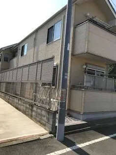 グリーンF Mの画像