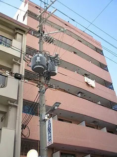 サンロイヤル長柄の画像