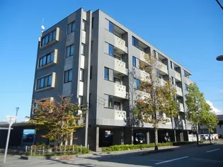 アルビオン鞍月の画像