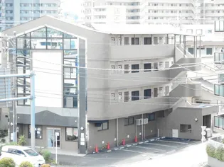 リベルテクシダの画像