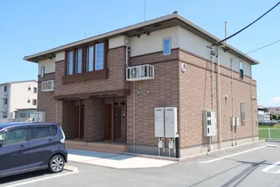 サン パインテイル Cの画像