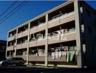 シェーンの画像