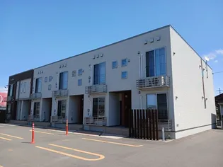 アルテシモ ガンビーノの画像