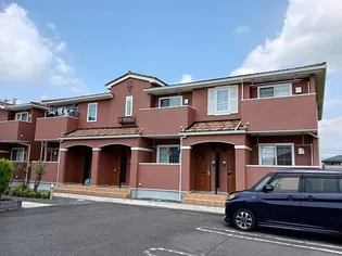 プリムローズAの画像