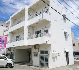 コートパインの画像