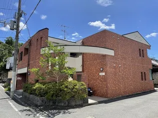 THE SEASONSの画像