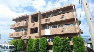 テージスの画像