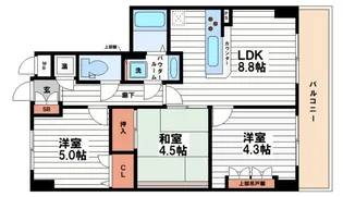 パインコート松屋町【2階】の間取り