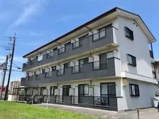 アルムハイツ板倉【1階】の外観