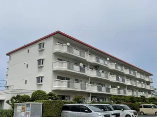 芳川ハイツ1号棟の画像