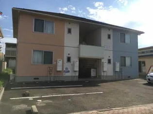 シュシュの画像