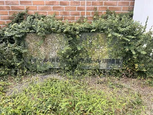 ラポール瑞穂 Iの地図