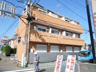 セレンディップの画像