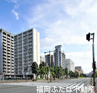 チコハウスの画像