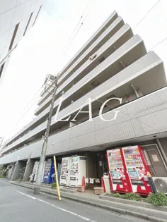 アムール森野の画像