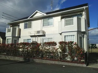 レフィナード エムAの画像