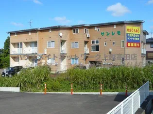 サンレモの画像