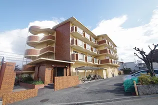 ウィスタリアの画像