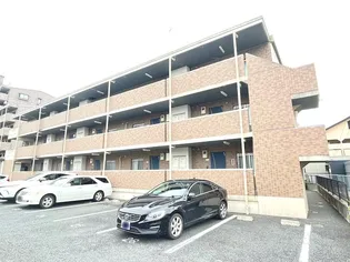 SOLAIRED M ソレアード エムの画像