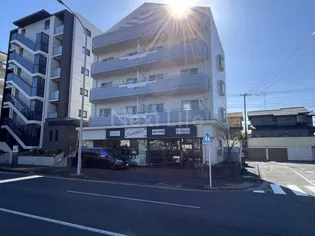 フォルクローレの画像