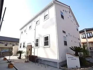 MIRUTEI NATURAの画像