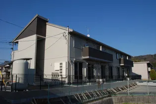 コーラルの画像