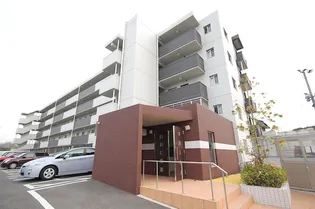 エストラーダ天道の画像