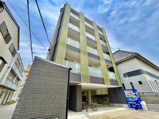 ネモフィラの画像