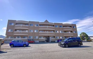 エア フォレストの画像