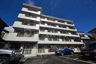 CAPRI YANAKAの画像