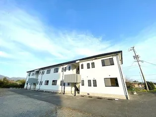 シェルFAの画像