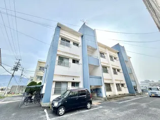アルファコートⅡの画像