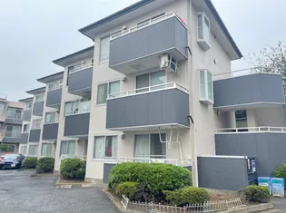 カサ デ センテレオの画像