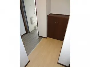 メゾンエイコー南川瀬III【2階】の玄関