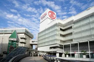 Fort Premiere Kashiwa【1階】の周辺