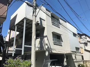 グレイコートの画像