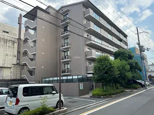 菜の花の街 葛野の画像