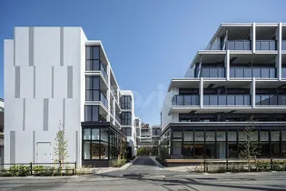 キャンパスヴィレッジ赤塚新町の画像