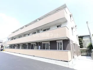 アガパンサスの画像