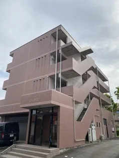 グローバル5の画像