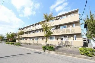 シャルマンの画像