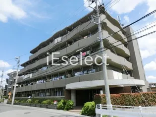 メイプル稲毛の画像