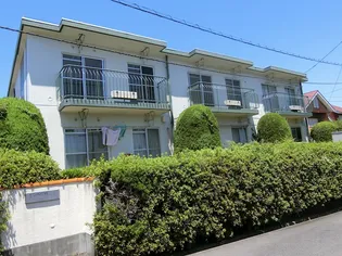 サンホワイトMの画像