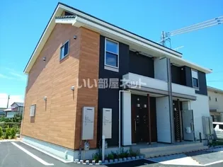 PINO法枝Aの画像