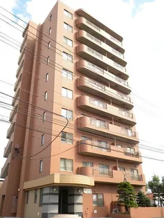 NUJII MSの画像