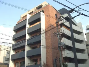 PALACIO ESTRELAの画像