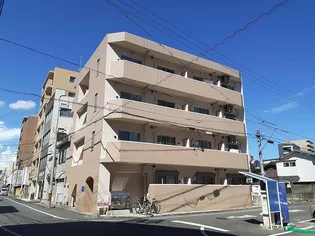 岡山県岡山市北区清輝橋3【マンション】の外観