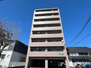 ビューカサディの画像